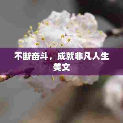 怀真抱素 第5页