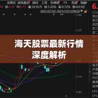 海天股票最新行情深度解析