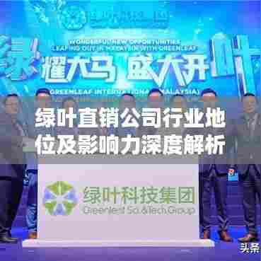 绿叶直销公司行业地位及影响力深度解析