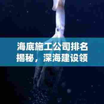 海底施工公司排名揭秘,深海建设领域的顶尖力量探索