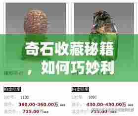 奇石收藏秘籍，如何巧妙利用百度搜索捡拾珍稀奇石
