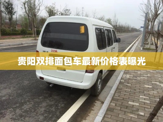贵阳双排面包车最新价格表曝光
