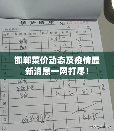 邯郸菜价动态及疫情最新消息一网打尽！