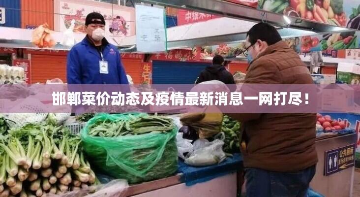 邯郸菜价动态及疫情最新消息一网打尽!