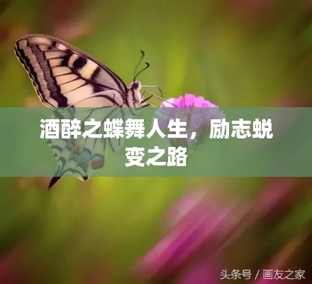 酒醉之蝶舞人生，励志蜕变之路
