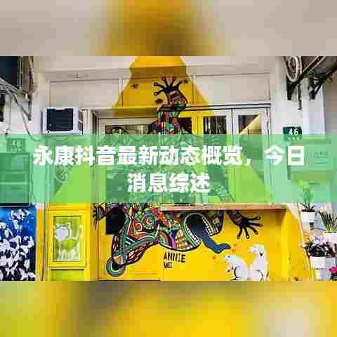 永康抖音最新动态概览,今日消息综述