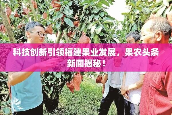 科技创新引领福建果业发展，果农头条新闻揭秘！