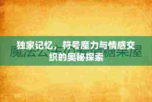 独家记忆,符号魔力与情感交织的奥秘探索