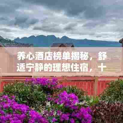 养心酒店榜单揭秘,舒适宁静的理想住宿,十大精选酒店推荐!