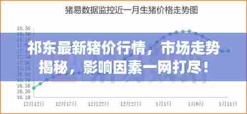 祁东最新猪价行情，市场走势揭秘，影响因素一网打尽！