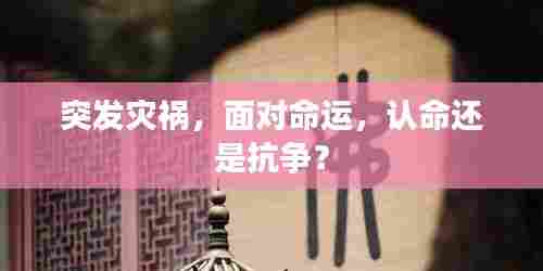 突发灾祸,面对命运,认命还是抗争?