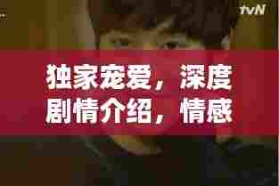 独家宠爱，深度剧情介绍，情感纠葛一网打尽！