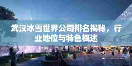 武汉冰雪世界公司排名揭秘,行业地位与特色概述