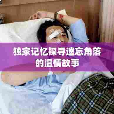 独家记忆探寻遗忘角落的温情故事