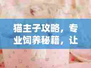 猫主子攻略，专业饲养秘籍，让你的猫咪健康又快乐！