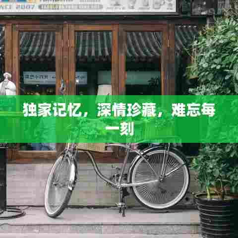 独家记忆,深情珍藏,难忘每一刻