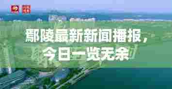 鄢陵最新新闻播报，今日一览无余