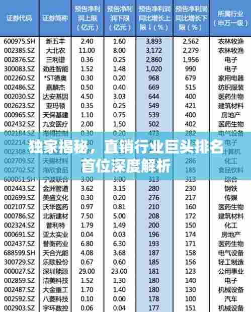 独家揭秘,直销行业巨头排名首位深度解析