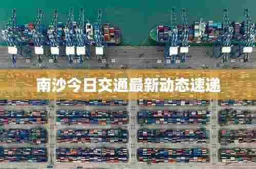 南沙今日交通最新动态速递