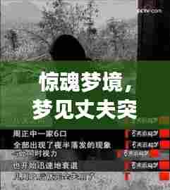 惊魂梦境，梦见丈夫突然离世