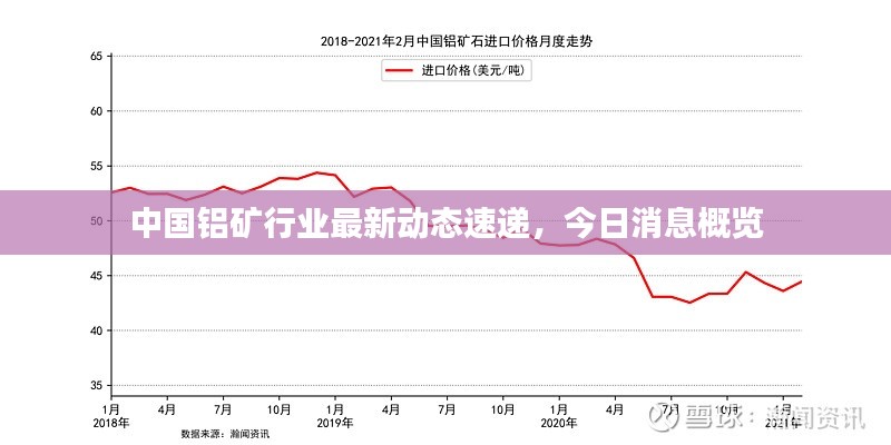 中国铝矿行业最新动态速递，今日消息概览