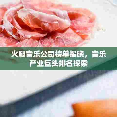 火腿音乐公司榜单揭晓,音乐产业巨头排名探索