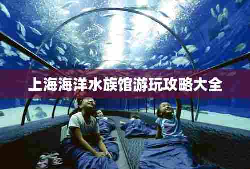 上海海洋水族馆游玩攻略大全