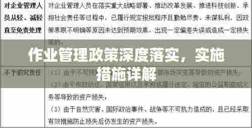 作业管理政策深度落实,实施措施详解