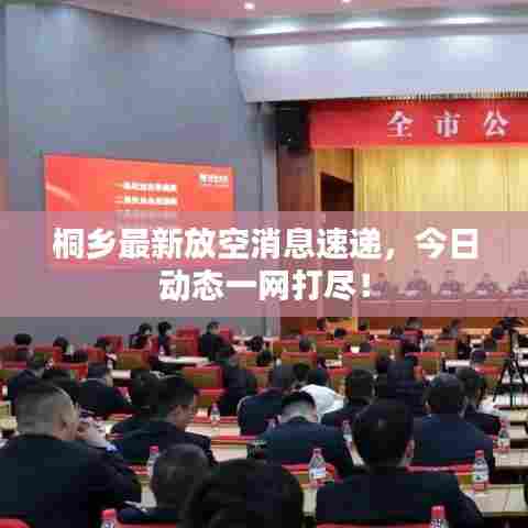 桐乡最新放空消息速递，今日动态一网打尽！