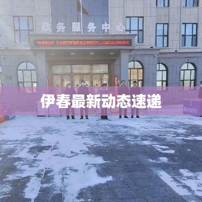 伊春最新动态速递