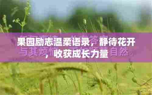 果园励志温柔语录，静待花开，收获成长力量