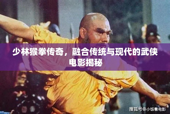 少林猴拳传奇,融合传统与现代的武侠电影揭秘
