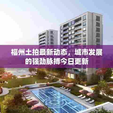 福州土拍最新动态，城市发展的强劲脉搏今日更新