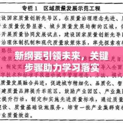新纲要引领未来，关键步骤助力学习落实