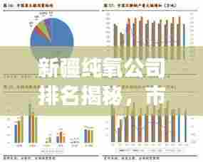 新疆纯氧公司排名揭秘，市场深度分析与前景展望