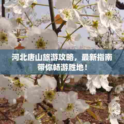 河北唐山旅游攻略,最新指南带你畅游胜地!