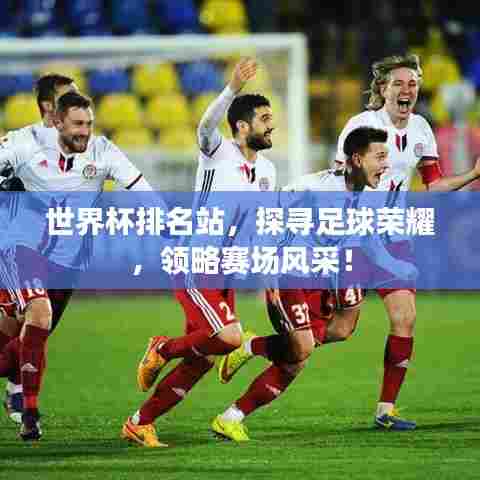 世界杯排名站，探寻足球荣耀，领略赛场风采！