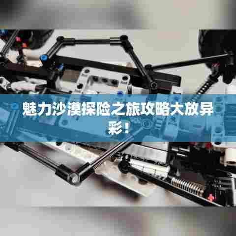 魅力沙漠探险之旅攻略大放异彩！