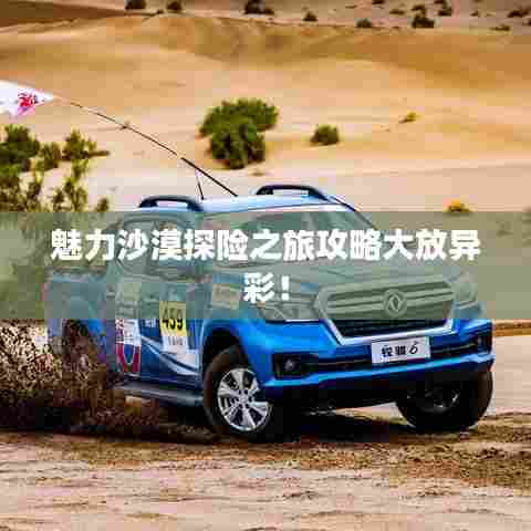 魅力沙漠探险之旅攻略大放异彩!