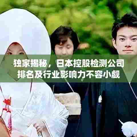 独家揭秘，日本控股检测公司排名及行业影响力不容小觑