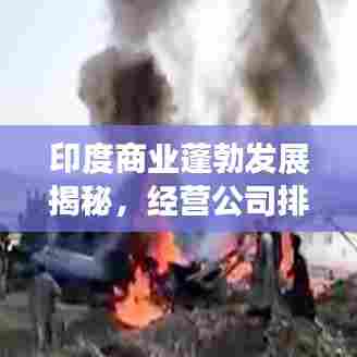 印度商业蓬勃发展揭秘,经营公司排名大揭秘