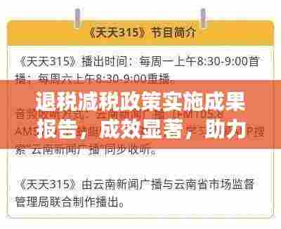退税减税政策实施成果报告,成效显著,助力经济高质量发展