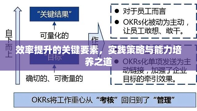 效率提升的关键要素,实践策略与能力培养之道
