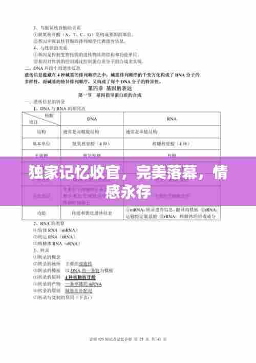 独家记忆收官，完美落幕，情感永存