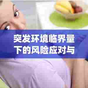 突发环境临界量下的风险应对与环境风险新视角解读