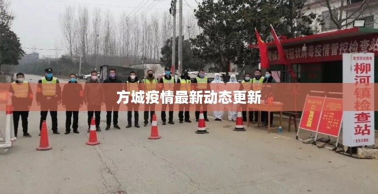 方城疫情最新动态更新