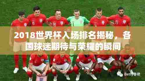 2018世界杯入场排名揭秘,各国球迷期待与荣耀的瞬间