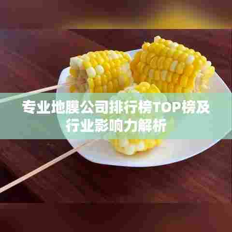 专业地膜公司排行榜TOP榜及行业影响力解析