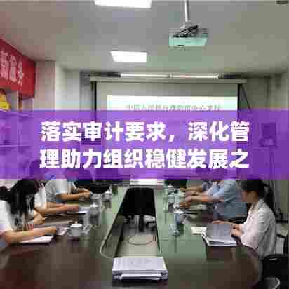 落实审计要求,深化管理助力组织稳健发展之路