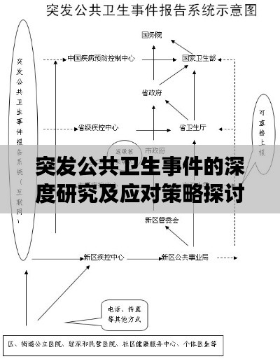 突发公共卫生事件的深度研究及应对策略探讨